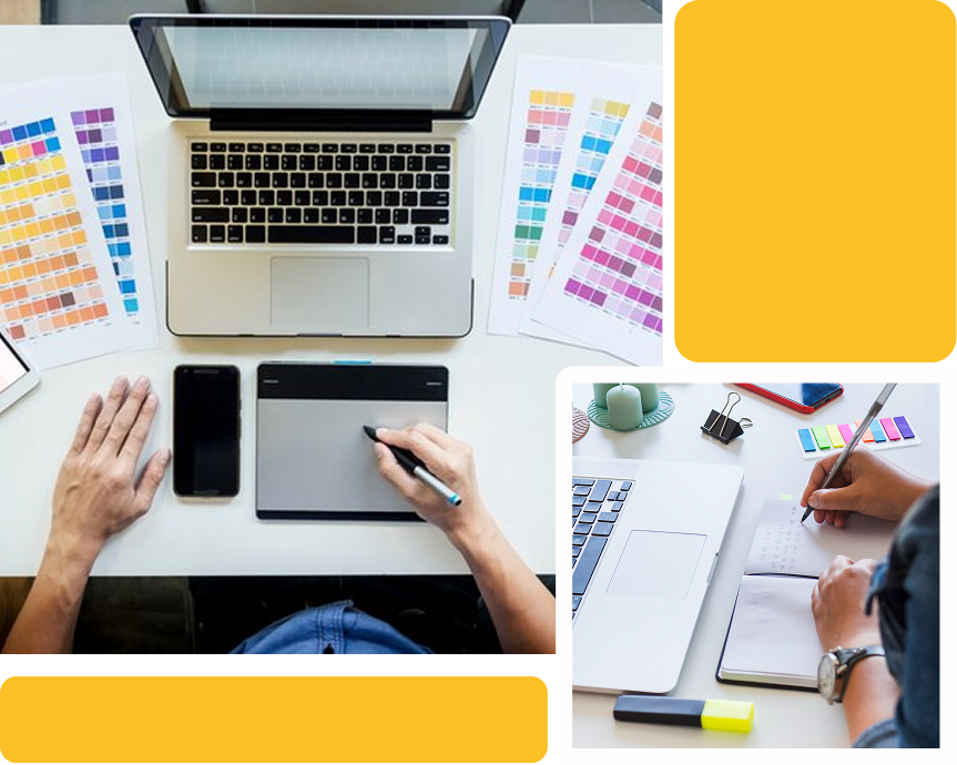 Web Design & Branding